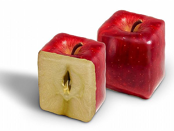 Ne, to ni računalniška montaža, pač pa jabolka, ki zrastejo in dozorijo v kontejnerjih in so prilagojena za lažji transport.